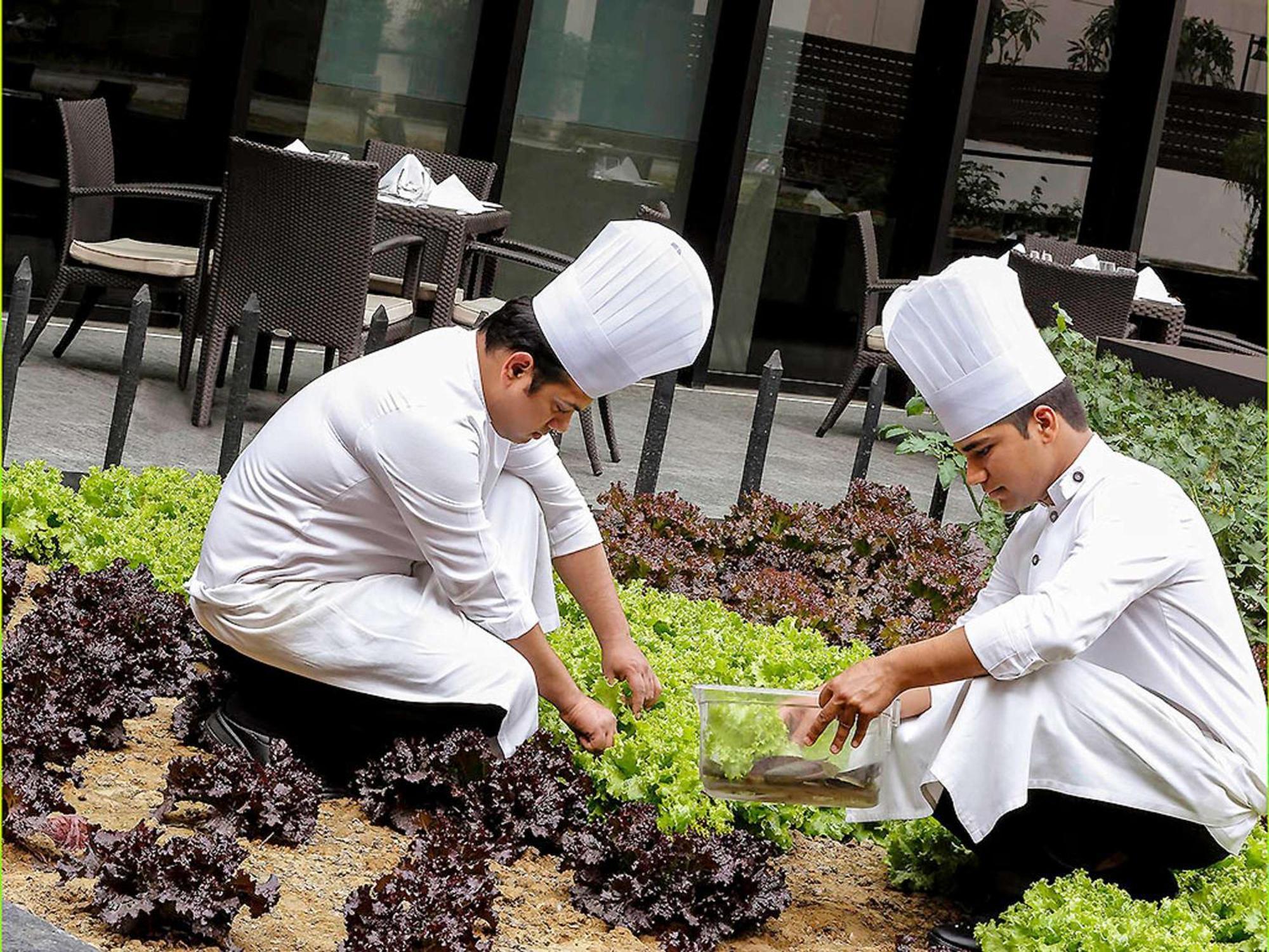 Pullman New Delhi Aerocity Exterior foto Students working in the school's garden